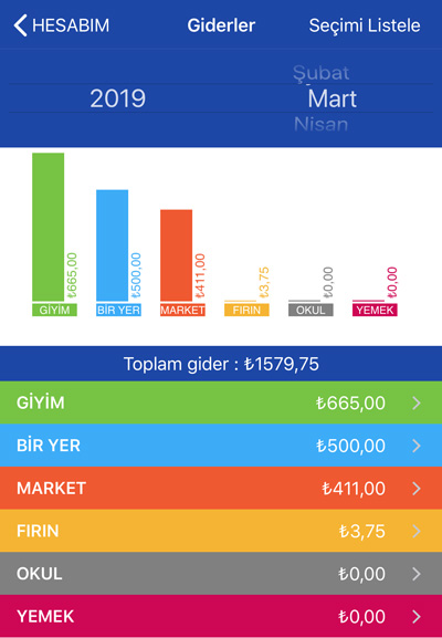 Hesabım Cebimde Kayıtları İnceleme